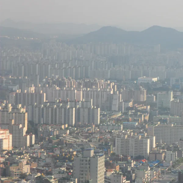 포레스트 아델아지트 테라피 안내 이미지