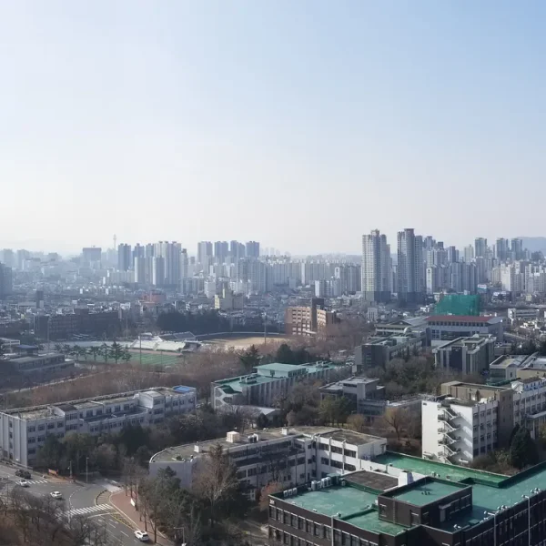 포레스트 제니아지트 테라피 안내 이미지
