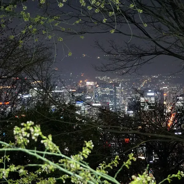 로열 아린스튜디오 홈타이 안내 이미지