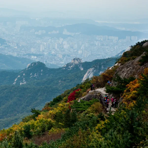 시그니처 은서스튜디오 테라피 안내 이미지